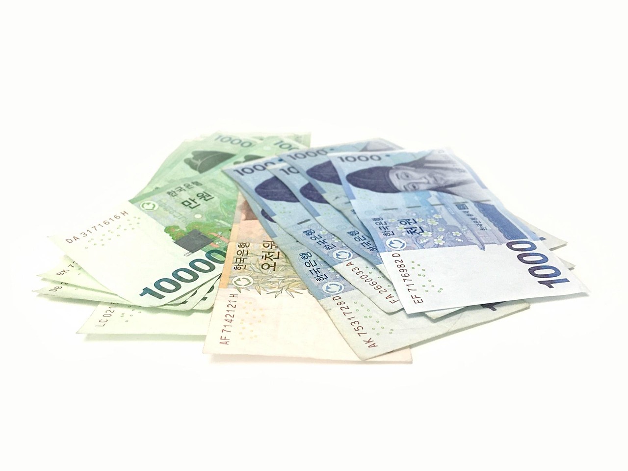 留学中の住民票の税金免除について知っておくべきことは？